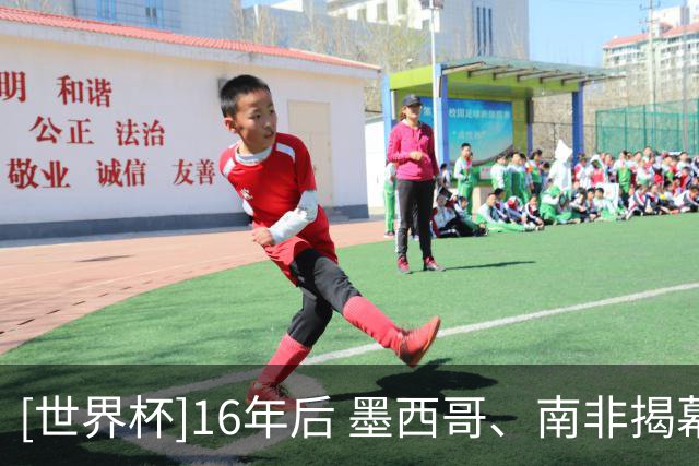 [世界杯]16年后 墨西哥、南非揭幕战再相遇